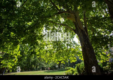 Der Budapester Stadtpark, auch bekannt als Városliget Park Stockfoto