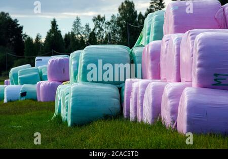 Nahaufnahme von Heuballen, die in rosa, grünen und gelben Plastikverpackungen eingewickelt und im Sommer in Finnland im Freien gelagert sind Stockfoto