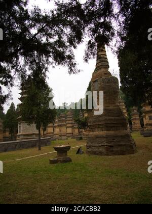 Pagodenwald am Shaolin Tempel Shaolin Kloster. Gräber von Shaolin-Meistern im Shaolin-Tempel. Das Shaolin Kloster ist auch als Shaolin bekannt Stockfoto