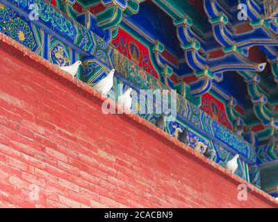 Das Dach des Gebäudes im Shaolin-Tempel mit Detail-Architektur. Das Shaolin Kloster ist auch als Shaolin Tempel bekannt. Dengfeng, Zhengzhou Ci Stockfoto