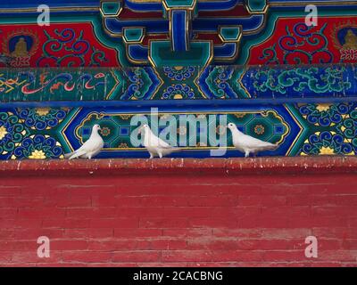 Das Dach des Gebäudes im Shaolin-Tempel mit Detail-Architektur. Das Shaolin Kloster ist auch als Shaolin Tempel bekannt. Dengfeng, Zhengzhou Ci Stockfoto