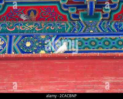 Das Dach des Gebäudes im Shaolin-Tempel mit Detail-Architektur. Das Shaolin Kloster ist auch als Shaolin Tempel bekannt. Dengfeng, Zhengzhou Ci Stockfoto