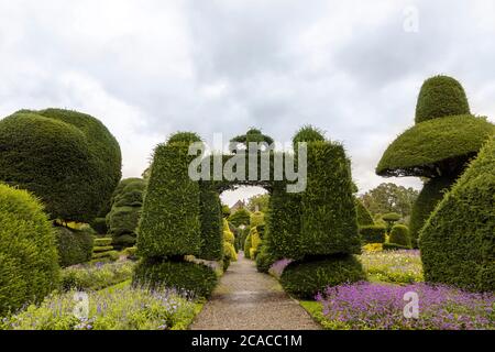 Älteste formgehölze Park in der Welt mit fantastisch geformten Pflanzen am Levens Hall in Cumbria, Großbritannien. Stockfoto