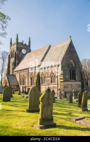 Derbyshire, Großbritannien – 08. April 2017 : goldgelbe Narzissen blühen auf der Straßenseite neben dem Dorfgrün bei Hoylandswaine Stockfoto