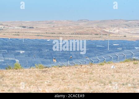 Die Spiegelanlage am Aschalim-Kraftwerk ist ein solarthermisches Kraftwerk in der Negev-Wüste in der Nähe des Kibbuz von Aschalim in Israel. Der Station Stockfoto