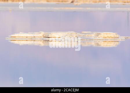 Israel, Totes Meer Salz Crystalization verursacht durch Wasserverdunstung Stockfoto