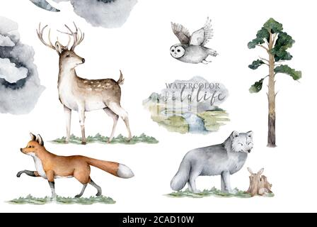 Waldtiere. Realistische Winter niedlich Wandern Tierwelt Fuchs, Hirsch, Eule und Landschaft isoliert Illustration auf weißem Hintergrund. Wilde mit Wildtieren Stockfoto