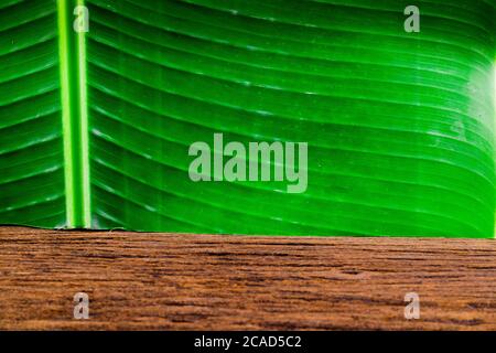 Grünes Bananenblatt und Holz auf natürliche Detail Tapete Textur Hintergrund Stockfoto