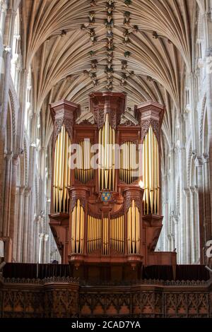 Norwich Cathedral Organ, Norfolk, Großbritannien. Es wird berichtet, dass es sich um eine der größten Pfeifenorgeln in England, die noch immer in Gebrauch sind, ist. 2019 Stockfoto