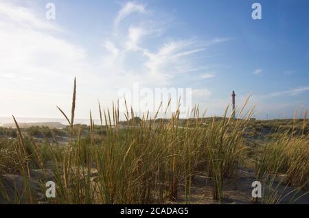 Der Leuchtturm La Coubre von den Stranddünen aus gesehen Stockfoto