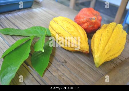 Frische Kakaofrüchte und grünes Blatt auf dem Bambus Tabelle Stockfoto