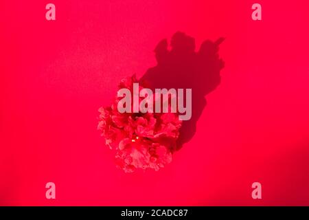 Schöne blühende Hibiskusblüten auf Papier Hintergrund. Blumen Komposition und Rahmen aus verschiedenen Blumen auf Papier Hintergrund. Stockfoto