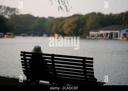 Ein Mädchen sitzt auf der Bank am See im Park bei Sonnenuntergang. Verschwommenes Seenwasser, Boote und Bäume Stockfoto