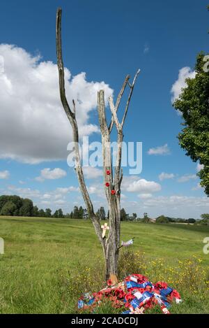 Der Danger Tree auf Beaumont Hamel Newfoundland Memorial Site. Stockfoto