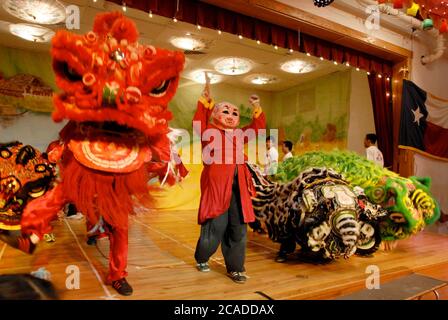 Austin, Texas, USA, Februar 2006: Das Dragon Dance Team tritt bei der Vietnamese New Year (Tet) Show in der Walnut Creek Elementary School auf, um das Jahr des Hundes zu feiern. Die Schule dient einer aktiven vietnamesisch-amerikanischen Gemeinde in Nordaustin. ©Bob Daemmrich Stockfoto