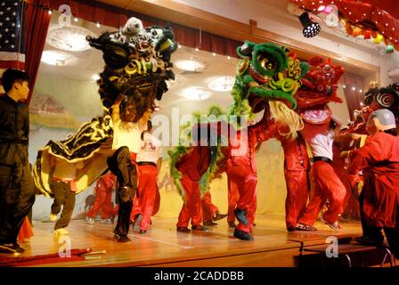 Austin, Texas, USA, Februar 2006: Das Dragon Dance Team tritt bei der Vietnamese New Year (Tet) Show in der Walnut Creek Elementary School auf, um das Jahr des Hundes zu feiern. Die Schule dient einer aktiven vietnamesisch-amerikanischen Gemeinde in Nordaustin. ©Bob Daemmrich Stockfoto