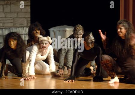 Brownsville, Texas, USA, Januar 2006: Schüler führen Andrew Lloyd Webbers „Cats“ im Auditorium der Lopez High School auf. ©Bob Daemmrich Stockfoto