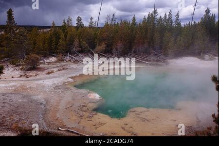 Emerald Spring im Norris Geyser Basin des Yellowstone National Park (Back Basin Trail) Stockfoto