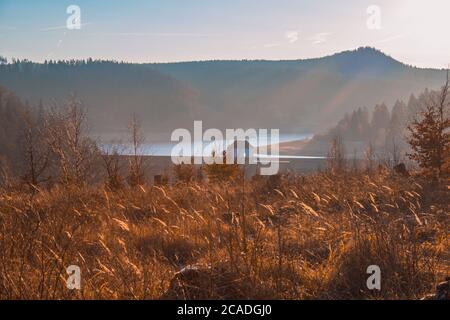 Blick auf den Eckerstausee, einem See im Nationalpark Harz, Deutschland Stockfoto