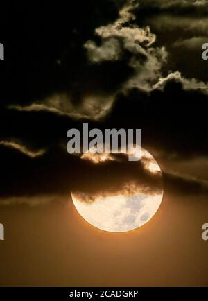 Der Vollmond im August wurde traditionell als Sturgeon-Mond bezeichnet, weil der riesige Stör der Großen Seen und der Lake Champlain am bereitesten augh waren Stockfoto