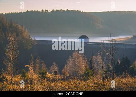 Blick auf den Eckerstausee, einem See im Nationalpark Harz, Deutschland Stockfoto