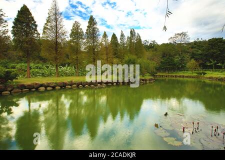 Schönen See Landschaft mit bunten kahlen Zypressen und Reflexionen im Herbst Stockfoto