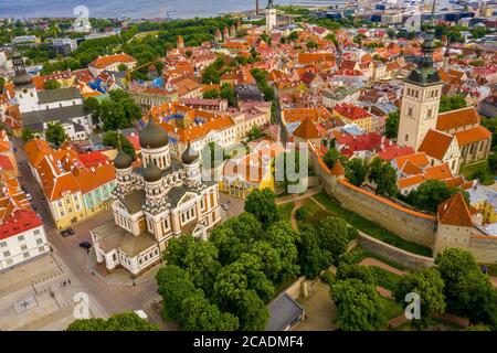 Luftaufnahme der Altstadt von Tallinn mit orangefarbenen Dächern, Kirchtürmen und engen Gassen Stockfoto