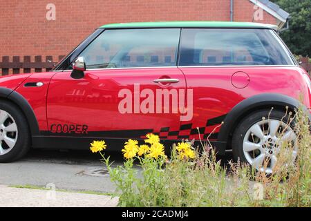 BMW Mini Cooper Credit : Mike Clarke / Alamy Stock Photos Stockfoto
