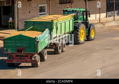 Traktor & Wagen gefüllt mit Weizenkorn nach Weizenernte Ernte. Die Lieferung von kürzlich geerntetem Getreide an Getreidelagersilos. Stockfoto