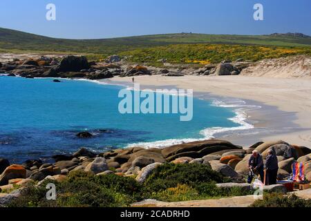 Ein Einzelgänger an einem unberührten Strand im West Coast National Park in der Nähe von Kapstadt. Dieser Bereich ist auf privatem Land und ist nur an bestimmten Tagen geöffnet. Stockfoto