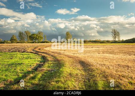 Eine kurvenreiche Feldstraße durch Felder, Wiesen und Wolken am Himmel Stockfoto