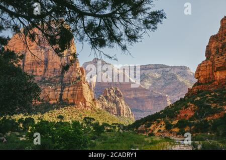 Blick auf Zion Park Berge von Angel's Landing im Sommer. Stockfoto