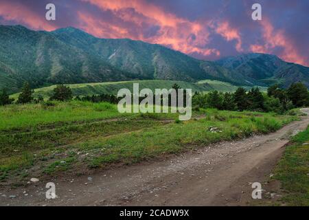 Karmesinroter Sonnenuntergang über Altai-Bergen mit waldreichen, schmutzigen gebogenen Straße, die durch grünes Tal führt. Schöner Abend Sommer Berglandschaft w Stockfoto
