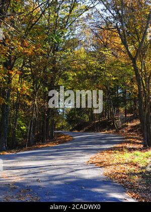 Kurvige Straße steigt in die Ozarks Berge an einem Herbsttag. Das Geschwindigkeitsbegrenzungszeichen lautet 25 mph. Stockfoto