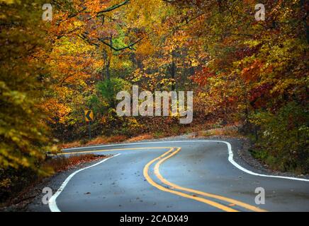 Kurvige Straße schlängelt sich an einem nassen Herbsttag durch die Ozark Berge. Die Straße verschwindet in der Ferne. Stockfoto