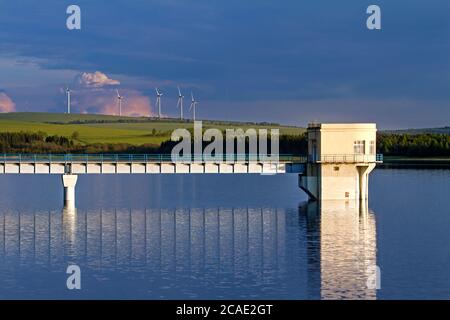 Prisecnice Damm in Krusne hory Berge, Wurzeln im Wassertank Prisecnice, das beste Foto. Stockfoto