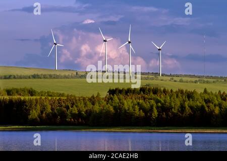 Prisecnice Damm in Krusne hory Berge, Wurzeln im Wassertank Prisecnice, das beste Foto. Stockfoto