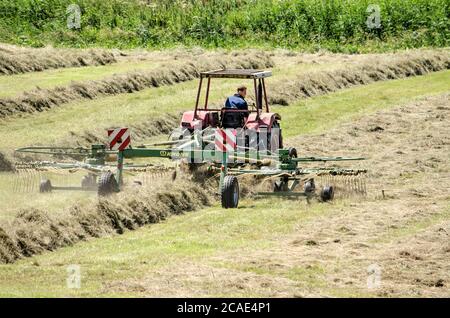 Wilsum, Niederlande, 21. Juli 2020: Landwirtschaftliche Maschine bei der Arbeit auf einem Feld, das getrocknete Heu in Reihen für die spätere Ballenproduktion anordnen Stockfoto