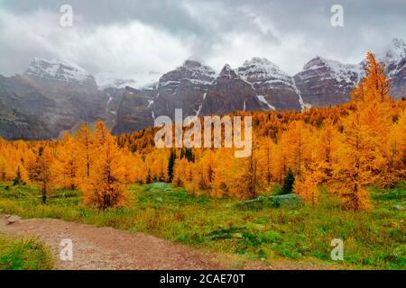 Epische Bergkette In Voller Herbst Glory Farbe Golden Aspen Landschaft Stockfoto