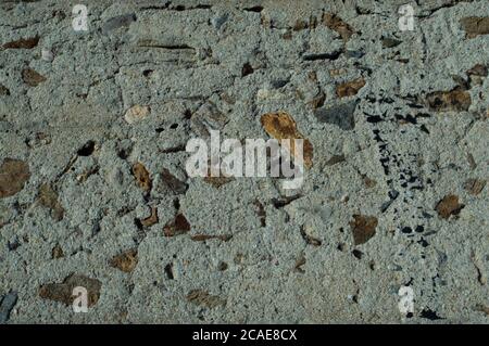 Grunge Textur Betonwand mit Kieselsteinen abstrakt Stockfoto