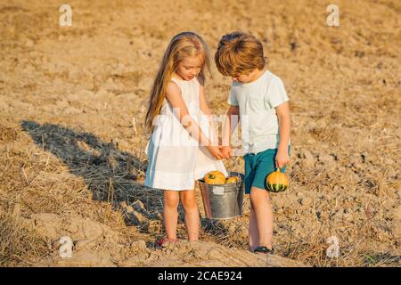 Süße Kindheit auf dem Land. Glückliche Kinder Bauern Spaß auf dem Feld. Nette kleine Kinder genießen auf dem Bauernhof. Stockfoto