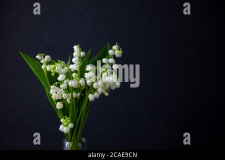 Ein Blumenstrauß von Lilien des Tals auf schwarzem Hintergrund mit Platz für Text. Zarte weiße Frühlingsblumen. Bouquet in einer Glasflasche. Copyspace. Stockfoto