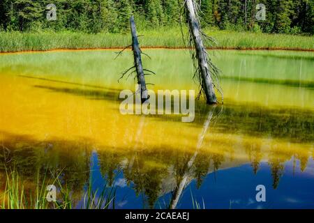 Farbtöpfe, Kootenay National Park, Britisch-Kolumbien, Kanada Stockfoto