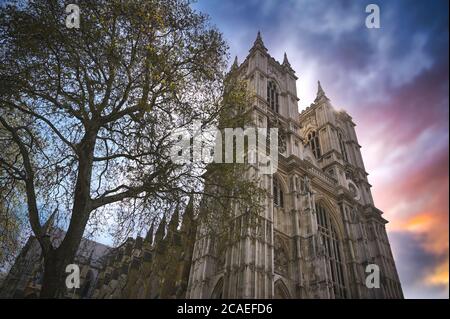 Sonnenuntergang über Westminster Abbey in London, England im Vereinigten Königreich. Stockfoto