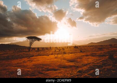Sonnenuntergang in Afrika Tsavo Nationalpark Stockfoto
