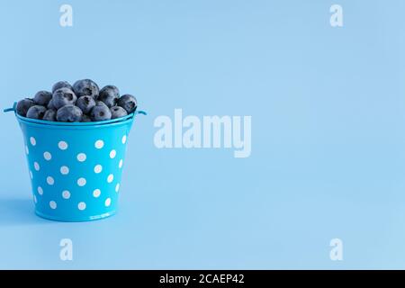 Obst und Gemüse, Vitamin, gesunde Lebensmittel und Getränke, traditionelle Medizin, Gastronomie Konzept - Layout lila Heidelbeeren in blauen Eimer mit Stockfoto