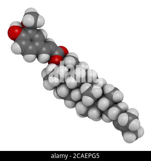 Cycloartenyl ferulate oder Oryzanol EIN Molekül. Hauptbestandteil von Gamma-Oryzanol (Reiskleienöl). 3D-Rendering. Atome werden als Kugeln mit c dargestellt Stockfoto