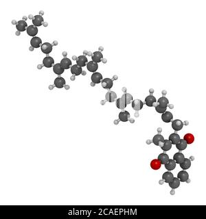 Vitamin K2 oder Menaquinon-Molekül. 3D-Rendering. Atome werden als Kugeln mit herkömmlicher Farbkodierung dargestellt: Wasserstoff (weiß), Kohlenstoff (grau), Ochse Stockfoto