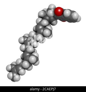 Vitamin K2 oder Menaquinon-Molekül. 3D-Rendering. Atome werden als Kugeln mit herkömmlicher Farbkodierung dargestellt: Wasserstoff (weiß), Kohlenstoff (grau), Ochse Stockfoto