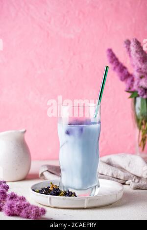 Schmetterling Erbsenblau Tee mit Milch Stockfoto